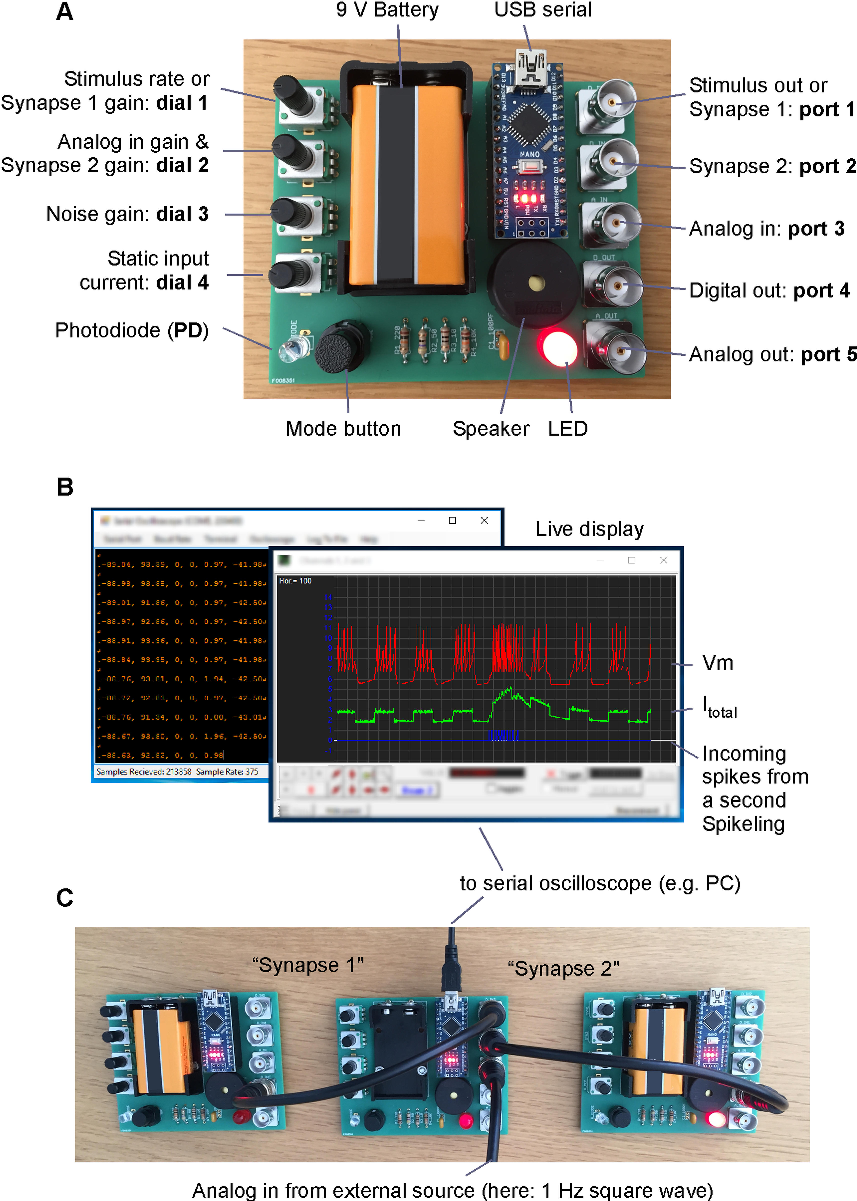 Spikeling原作者图 figure1.png;署名许可见正文